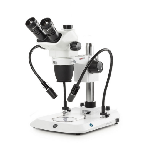 Trinocular Stereo Zoom Microscope NexiusZoom EVO, 0.65X To 5.5X Zoom Objective, Globe Scientific, ENZ-1703-PG