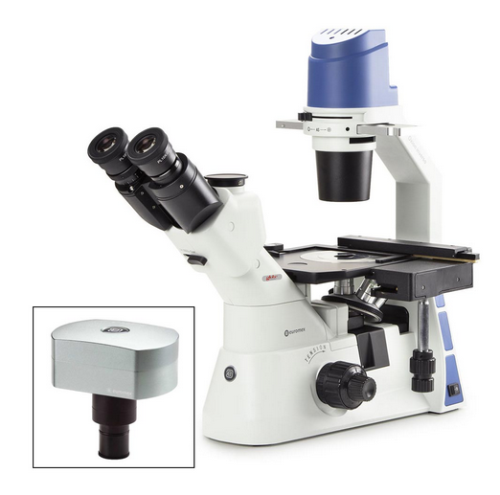 Inverted Trinocular Microscope, Oxion Inverso With Mechanical Stage PLPH 10/20/40X, Globe Scientific, EOX-2053-PLPH-DC18