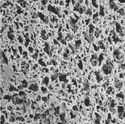 0.45 Pore Size (uM), 90 Diameter (mm), Non-Sterile , 25/Pk