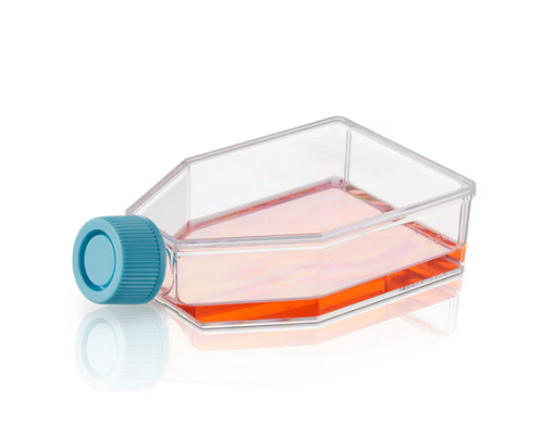BioLite Cell Culture Treated Flasks 75 mL, 40/CS, Thermo Scientific, 130194