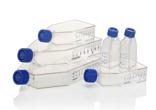 Nunc EasYFlask 75 cm2 25 mL, 30/CS, Thermo Scientific, 132707