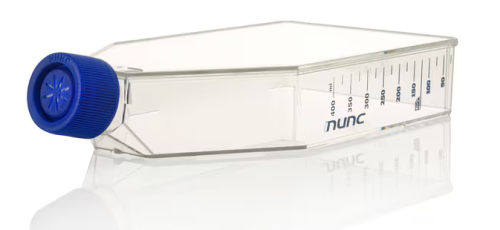 Nunc Non-treated T25 EasYFlask, 200/CS, Thermo Scientific, 169900