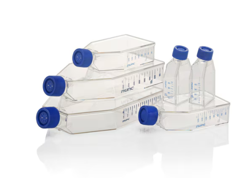 Nunc EasYFlask 55 mL, 30/CS, Thermo Scientific, 159920