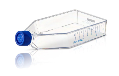 Nunc EasYFlask, 75 cm2, 100/CS, Thermo Scientific, 156376