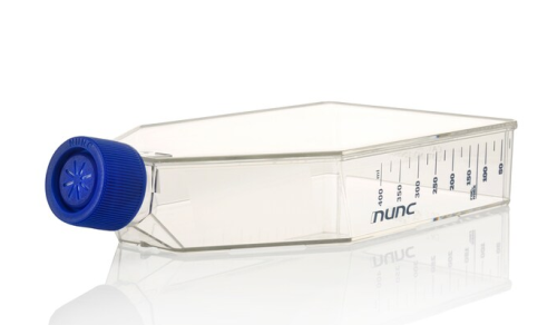 Nunc Cell Culture Treated Flasks with Filter Caps 175 cm2, 32/CS, Thermo Scientific, 178985