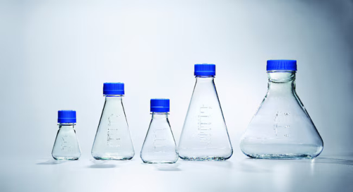 Nalgene Single-Use PETG Erlenmeyer Flasks with Baffled Bottom: Sterile 125  mL, Thermo Scientific, 4113-0125