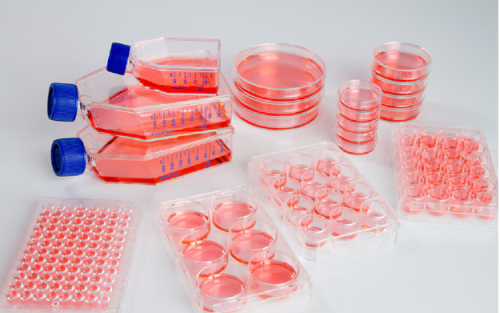 T75 Nunclon Sphera EasYFlask, 24/CS, Thermo Scientific, 174952