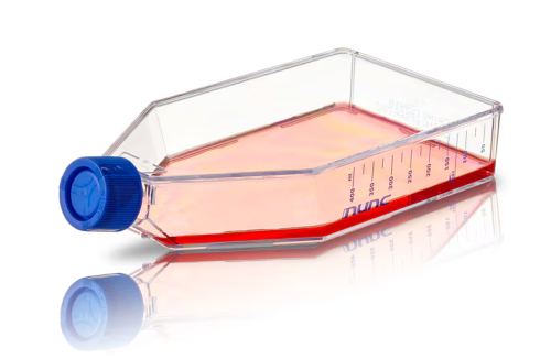 Nunc Cell Culture Treated Flasks with Solid Caps 175 cm2, 32/CS, Thermo Scientific, 156505