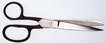 Shears, 8 in. Stainless Steel Blades, Walter Stern, 310-311