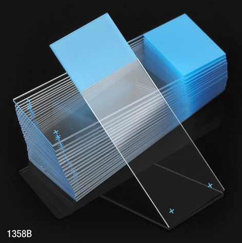 Microscope Slides, Diamond White Glass, 25 x 75 mm, Charged, 90 Degree Ground Edges, Blue Frosted, 72/PK, Globe Scientific, 1358B-72
