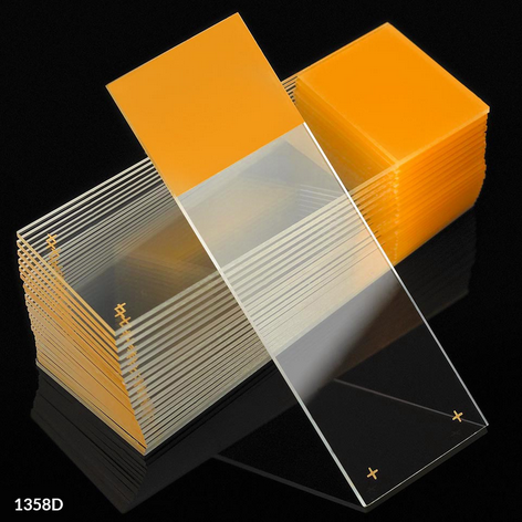Microscope Slides, Diamond White Glass, 25 x 75 mm, Charged, 90 Degree Ground Edges, Gold Frosted, 72/PK, Globe Scientific, 1358D-72