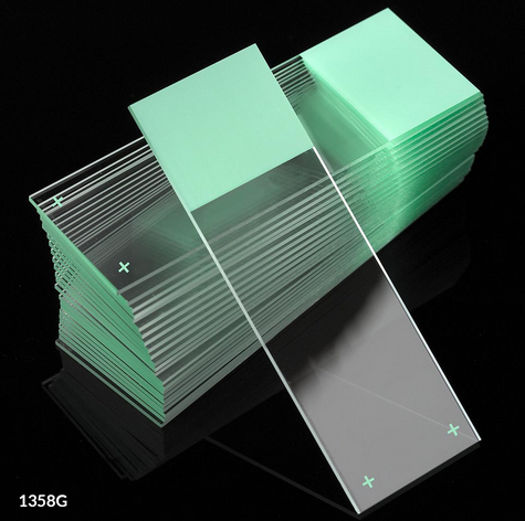 Microscope Slides, Diamond White Glass, 25 x 75 mm, Charged, 90 Degree Ground Edges, Green Frosted, 72/PK, Globe Scientific, 1358G-72
