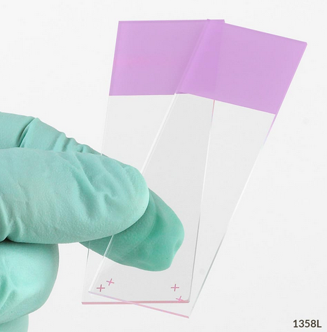 Microscope Slides, Diamond White Glass, 25 x 75 mm, Charged, 90 Degree Ground Edges, Lilac Frosted, 1440/CS (20 PKs of 72), Globe Scientific, 1358L