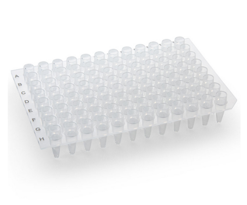 0.2 mL 96-Well PCR Plate, No Skirt, Chimney Top, Clear, 100/CS, Globe Scientific, PCR-NS-02-CH