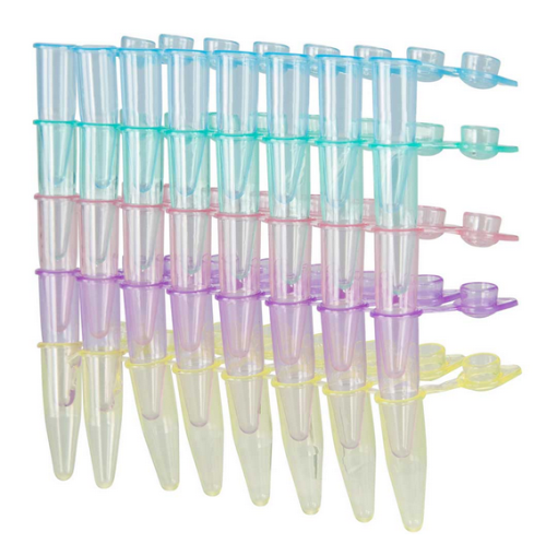 QuickSnap 0.2 mL 8-Strip Tubes, with Individually-Attached Dome Caps, Assorted Colors (Blue, Red, Green, Yellow and Violet), 1200/CS, Globe Scientific, PCR-QS-02D-RW