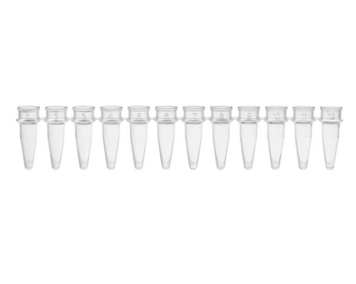 0.2 mL 12-Strip Tubes, No Caps, Natural, 800/CS, Globe Scientific, PCR-02S-12